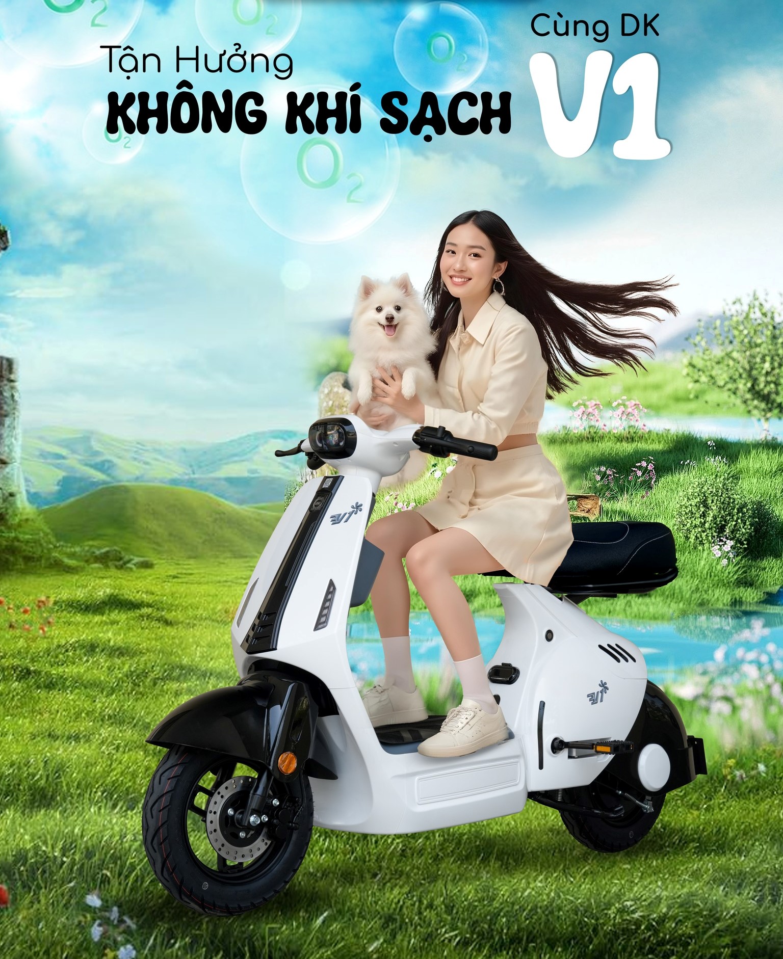 Mua DK V1 Chính Hãng Tại Vĩnh Trường - Xe Đạp, Giá Ưu Đãi