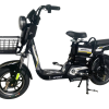 Xe Đạp Điện Bomeli 10