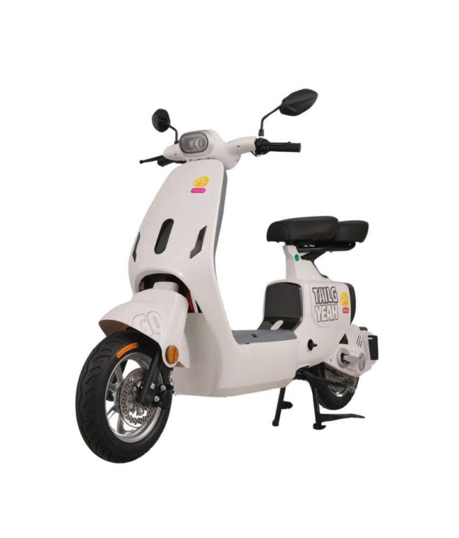 Xe Điện Tailg Gr55 Xe Điện Vĩnh Trường Tiền Giang