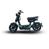Xe Điện Tailg Gx30 Xe Điện Vĩnh Trường Tiền Giang