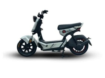 Xe Điện Tailg Gx30 Xe Điện Vĩnh Trường Tiền Giang