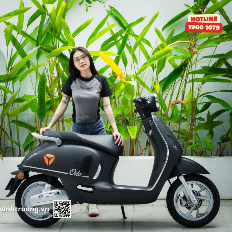 Xe điện Vĩnh Trường